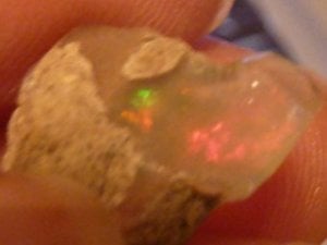 Welo Opal Rough  1315.jpg