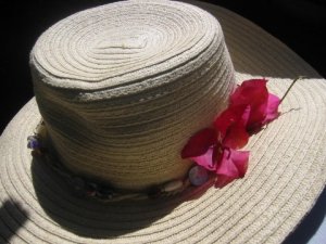 Bougainvilleas on hat.jpg