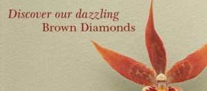 Brownd diamond homepage_kckr1_052505.jpg