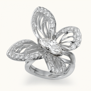 butterfly ring.gif