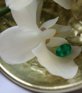 emerald 025.jpg