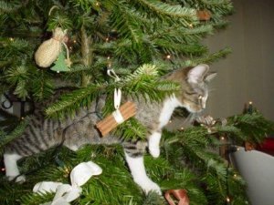 Harriett & ChristmasTree.jpg