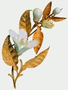 Orange blossom brooch.jpg