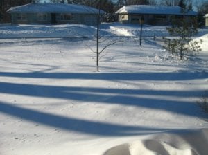 Snow_1490.jpg