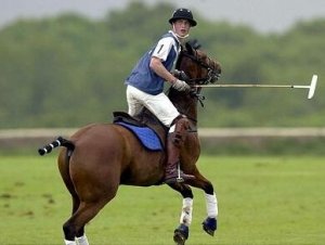 June2002polo.jpg