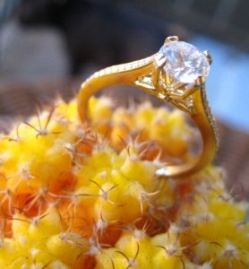 EngagementRing7.jpg