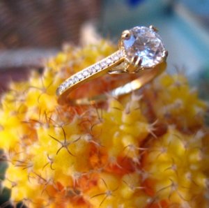 EngagementRing8.jpg