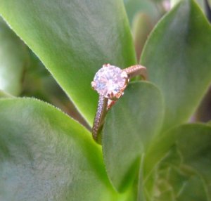 EngagementRing4.jpg