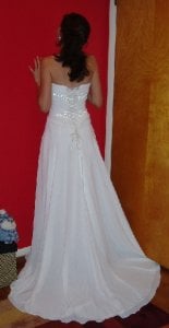 My dress back crop.jpg