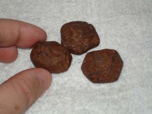 Possible Garnets.jpg