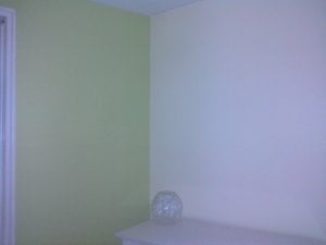 paint for b room.jpg