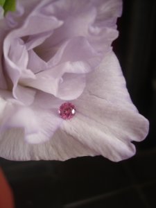 Spinel flower 2.jpg