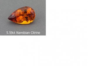 Roger Dery Citrine.JPG