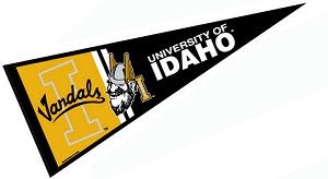 university_of_idaho_pennant_26429big.jpg