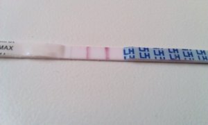 opk12dpo.JPG