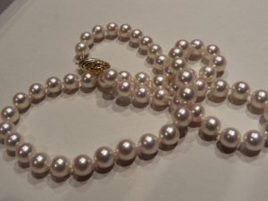 American Pearl AA 7x75mm 3.JPG