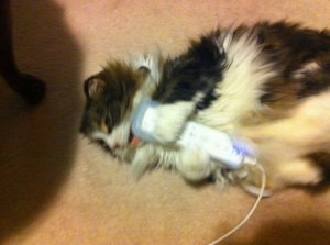 Wii kitty.jpg