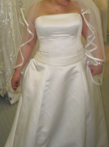 weddingdresswithveil.jpg