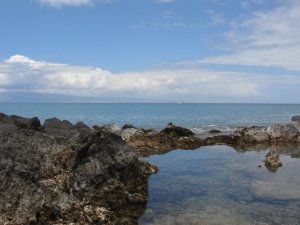 TidepoolMaui.jpg