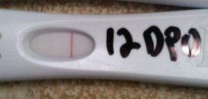 12dpo.jpg