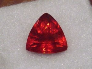 Garnet Spess_1_1.JPG