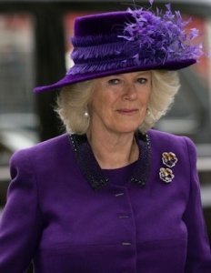 2010-0308-britain-camilla.jpg