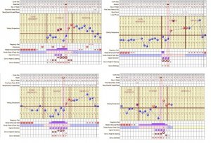 4 charts.jpg