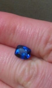 bluespinel1.jpg