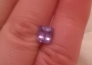 purplespinel1.jpg