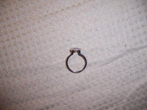 ring profile.JPG