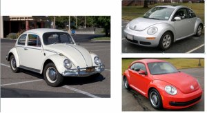 VW Beetle collage.jpg