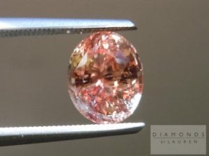 r4711-paraiba-a.jpg