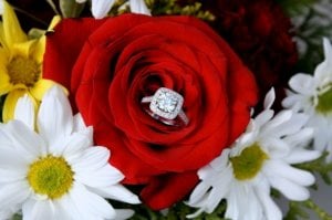 diamond_ring_in_flower_nice___1.jpg