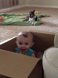 baby_in_a_box.jpg