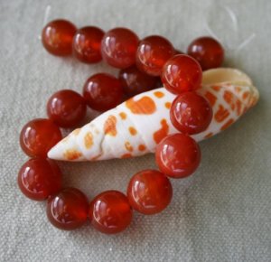 carnelian-w-shell.jpg