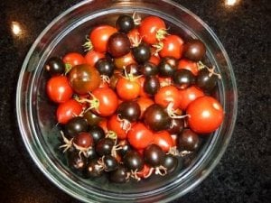 tomatos_2012.jpg