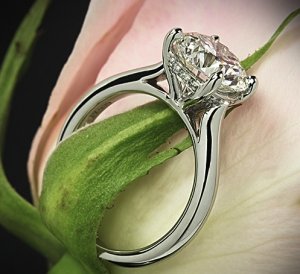 vatche-platinum-caroline-solitaire-engagement-ring-for-whiteflash-33703_g.jpg