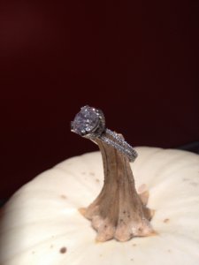 ring2gourd.jpg