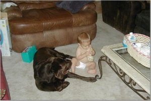 Tanner & Simba sharing a bone 06-2003.jpg