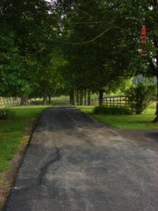 driveway1.JPG