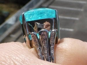 paraiba_ring_side_view.jpg