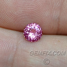 sapphire_pink_449_a.jpg