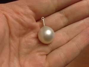 pearlnoearring.jpg