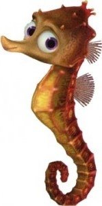 sheldon-the-seahorse-149x300.jpg