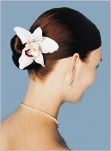 chignon_img.jpg