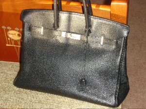 Birkin9.jpg