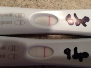 frer_11-10-13.jpg