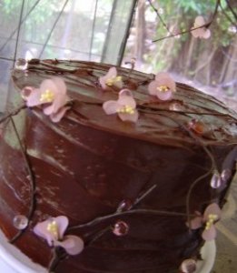 cherryblossomchocolatecake_whiteaisle.jpg