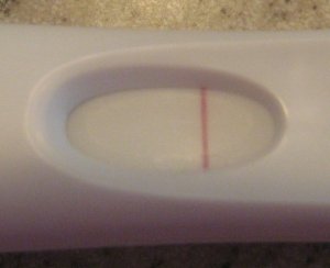 dec_16_frer_0.jpg