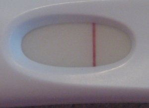 dec_16_frer_crop_2.jpg